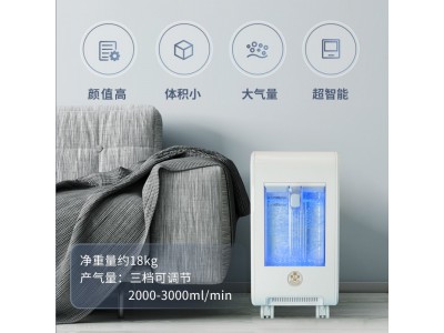 潓美氢氧气雾化机 3000流量 AMS-H-03 家用氢氧机图2